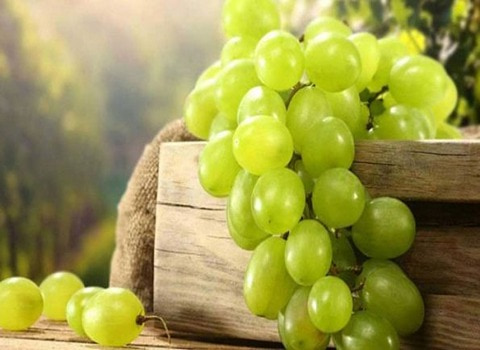 قیمت انگور زرد